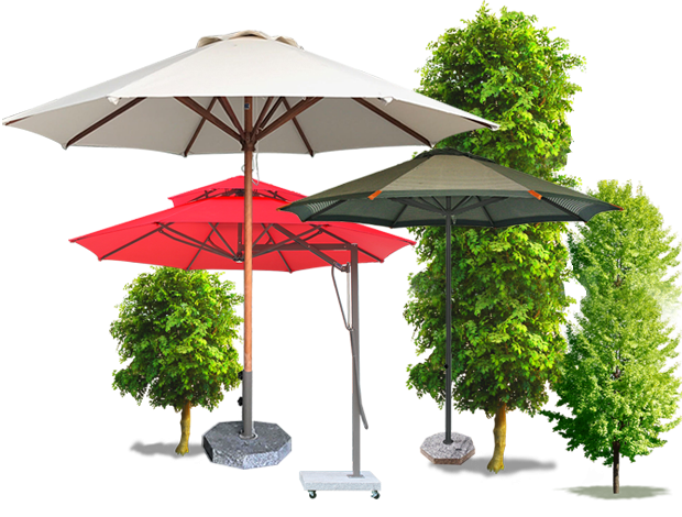 GIỚI THIỆU VỀ ĐẠI NHẬT